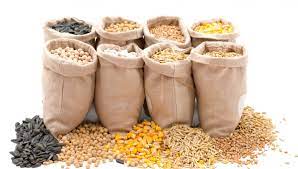 Cereals & Millets exporting company from India