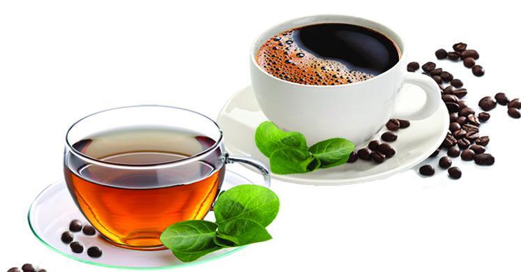 Tea & Coffee exporting company from India