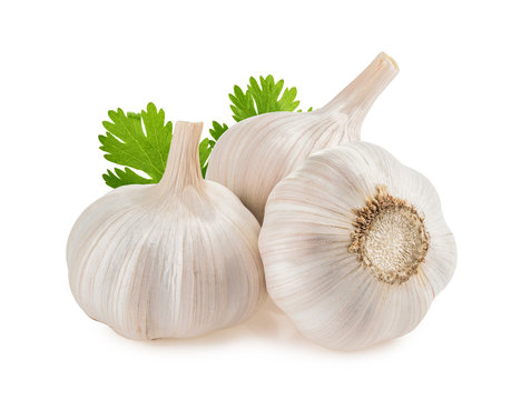 Garlic Supplier India
