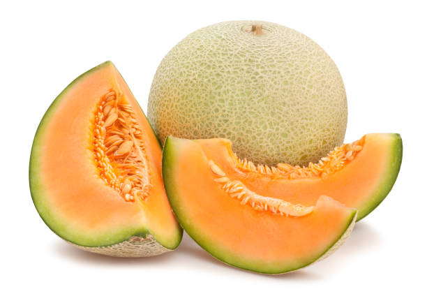 Fresh Muskmelons exporter from India