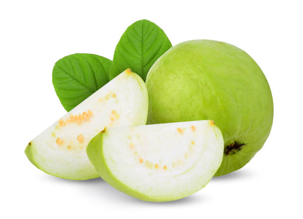 Fresh Guavas exporter in India