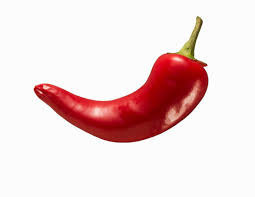 Chilies exporter in India