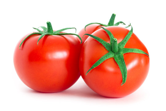 Fresh Tomatoes exporter in India