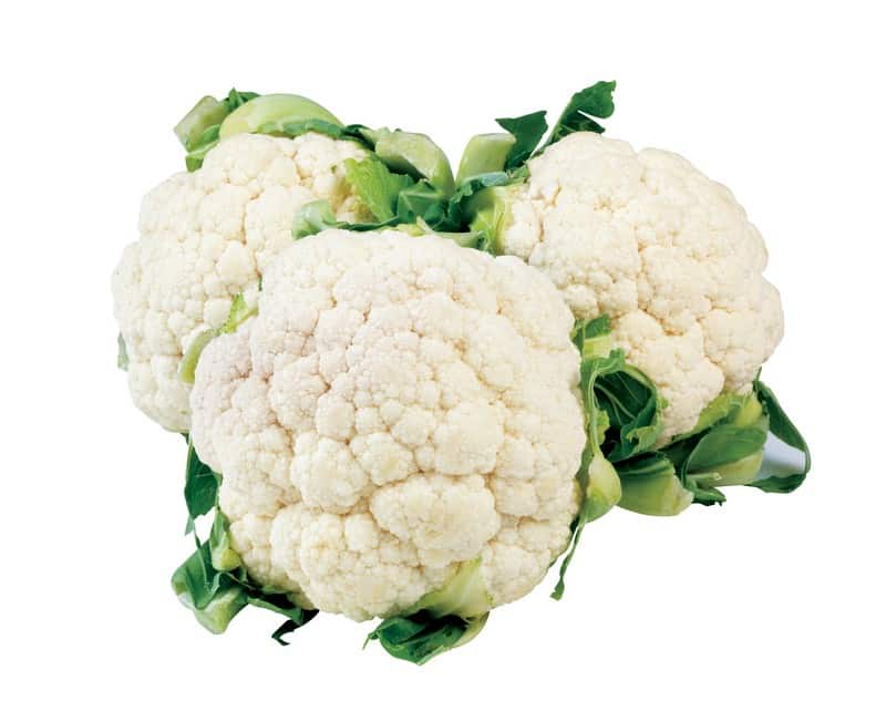 Fresh Cauliflower exporter in India