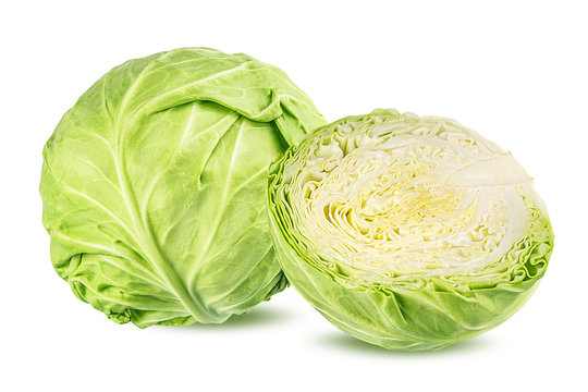 Fresh Cabbage exporter in India