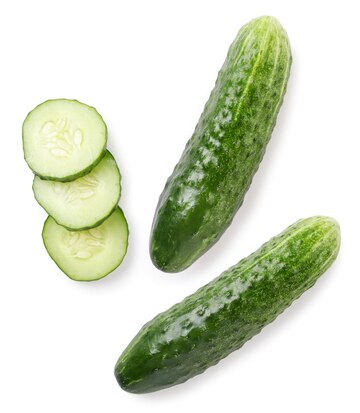 Cucumber exporter in India