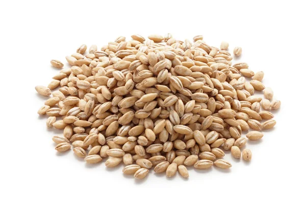 Barley exporter in India