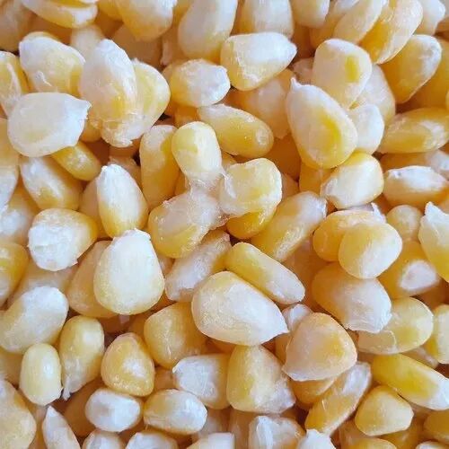 Frozen Sweet Corn exporter in India