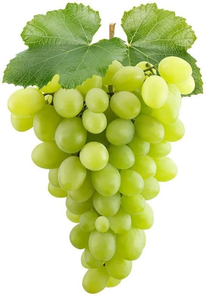 Fresh Grape exporter in India