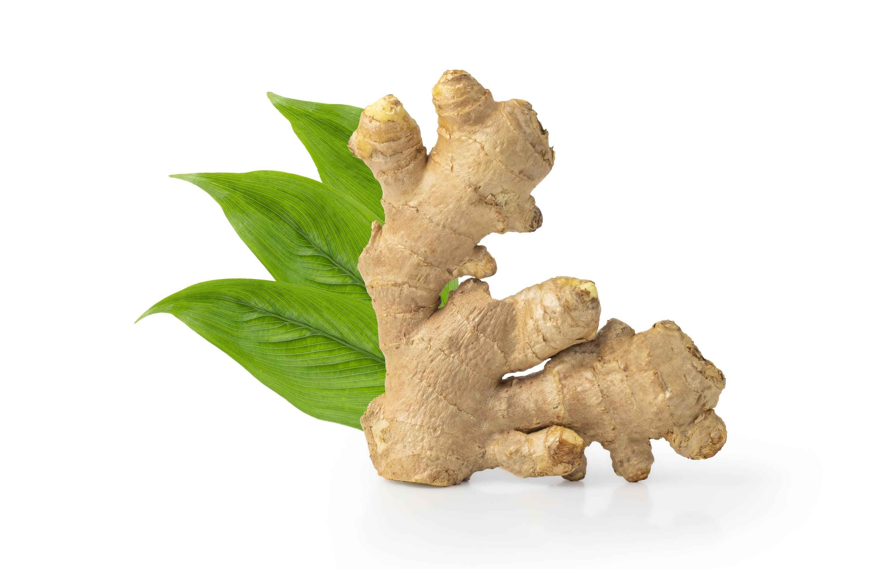 Ginger exporter in India